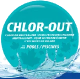 pool brush